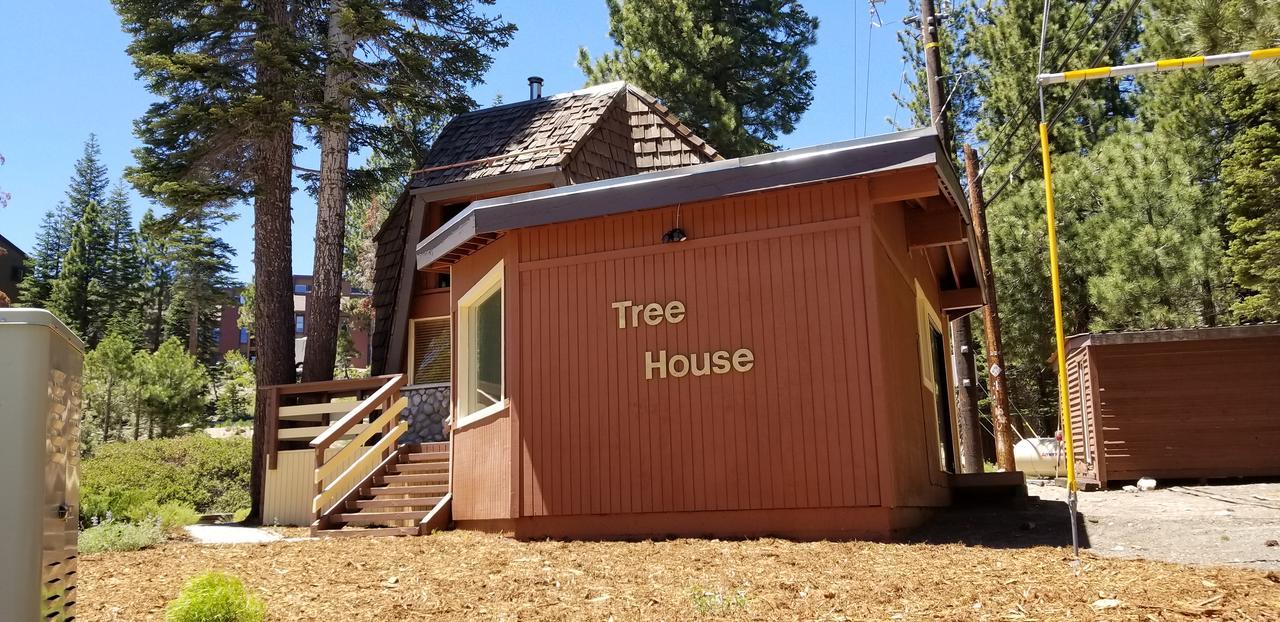 Tree House- Walk To Mammoth Village 马姆莫斯湖 外观 照片